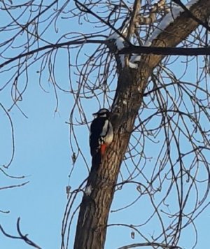 20230126_170808.jpg 20230126_170808.jpg