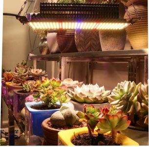 IMG_20230127_072408.jpg IMG_20230127_072408.jpg