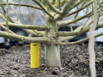 0D981BFF-A195-4AC7-B8C7-21816C11005D.jpeg 0D981BFF-A195-4AC7-B8C7-21816C11005D.jpeg