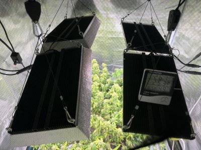 C52493FF-C5FC-4996-9035-05207AB6D8D6.jpeg C52493FF-C5FC-4996-9035-05207AB6D8D6.jpeg