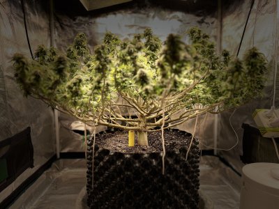 0CB55228-C275-46FC-9407-8D4F87F85A73.jpeg 0CB55228-C275-46FC-9407-8D4F87F85A73.jpeg