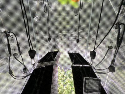 F5037A2B-554C-4193-A2CE-10CF66B1F3BE.jpeg F5037A2B-554C-4193-A2CE-10CF66B1F3BE.jpeg