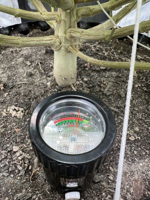 3CAF3811-D1D5-4EE4-A5AA-7D4D4E616B29.jpeg 3CAF3811-D1D5-4EE4-A5AA-7D4D4E616B29.jpeg