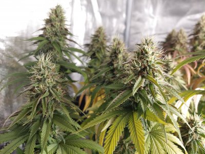 20230127_132729.jpg 20230127_132729.jpg