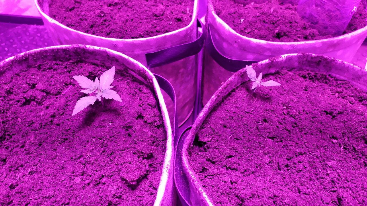 photo_2023-02-01_17-39-58.jpg photo_2023-02-01_17-39-58.jpg