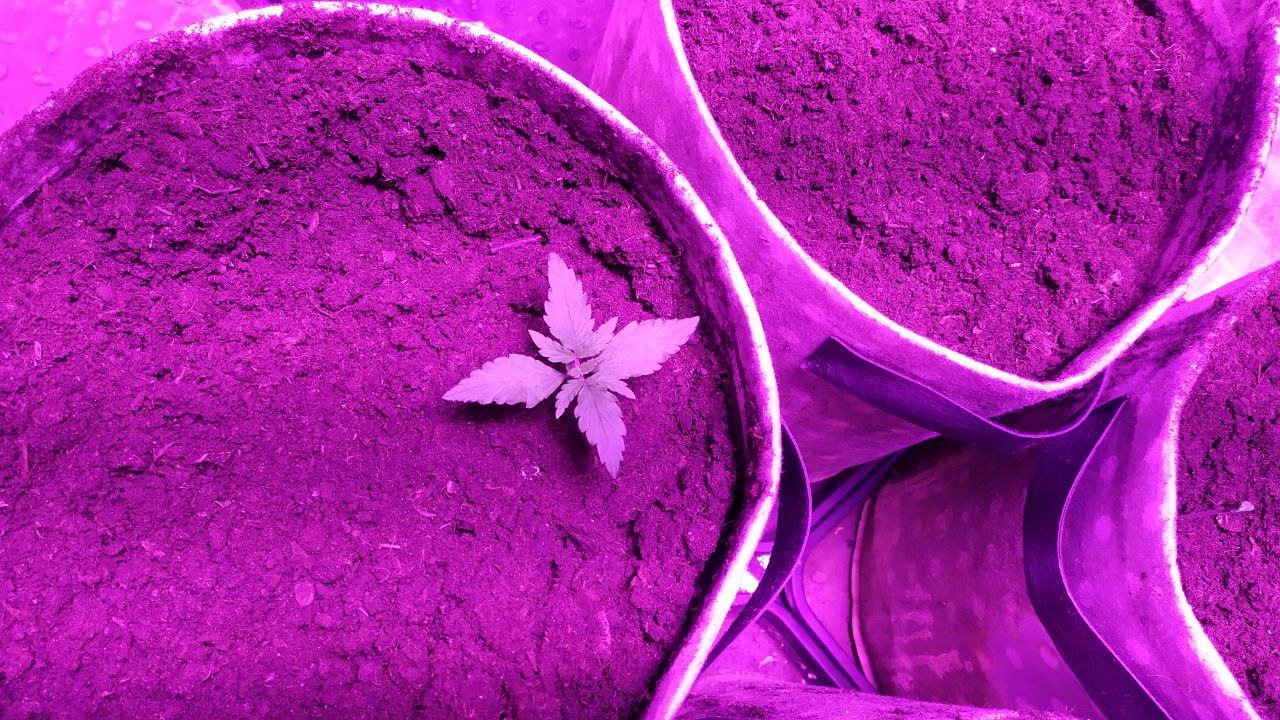 photo_2023-02-01_17-47-37.jpg photo_2023-02-01_17-47-37.jpg