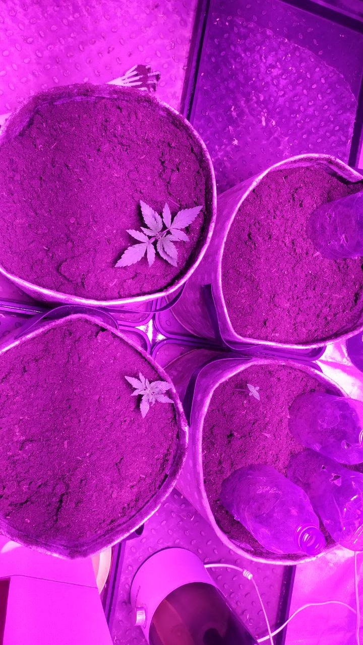 photo_2023-02-03_18-16-54.jpg photo_2023-02-03_18-16-54.jpg