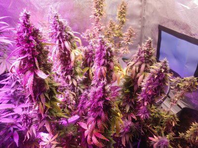 20230202_110816.jpg 20230202_110816.jpg