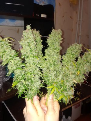 20230204_234414.jpg 20230204_234414.jpg