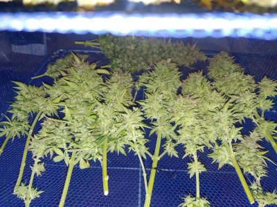 20230205_000153.jpg 20230205_000153.jpg