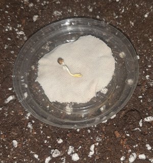 20230205_091424.jpg 20230205_091424.jpg