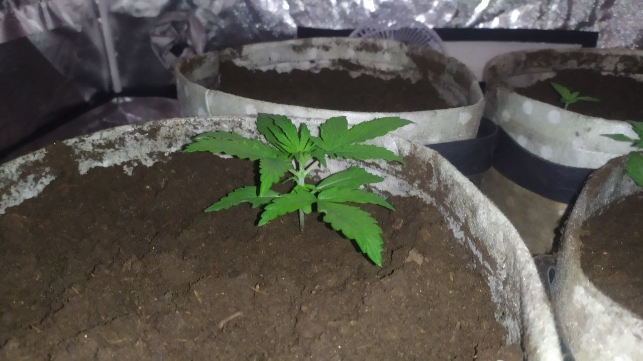 photo_2023-02-05_16-42-41.jpg photo_2023-02-05_16-42-41.jpg