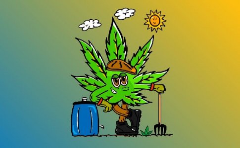 Безопасное место высадки Безопасное место высадки