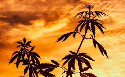 Правильное время посещения Правильное время посещения