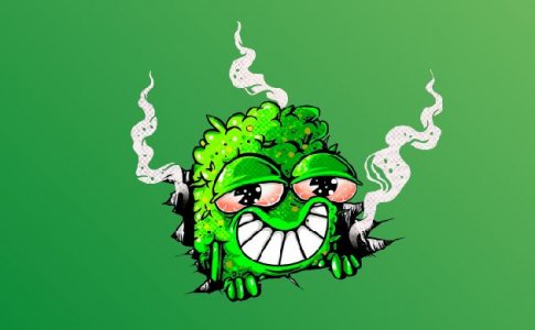 Обоняние Обоняние