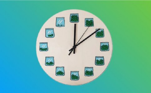 Отдайте предпочтение быстроцветущему фотопериодному сорту