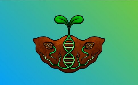 Присмотритесь к автоцветам