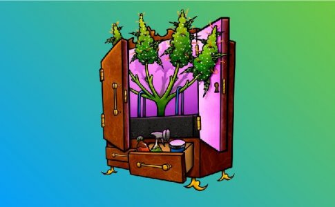 5-Indornyj grov-100.jpg