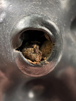 480D699E-631C-422D-9D65-F1EDE58A8D3F.jpeg 480D699E-631C-422D-9D65-F1EDE58A8D3F.jpeg