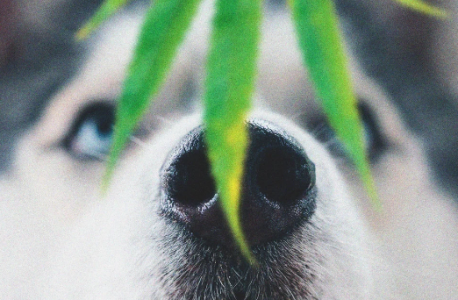 1675800972840.png 1675800972840.png