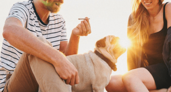 1675801030726.png 1675801030726.png