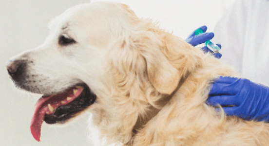 1675801141384.png 1675801141384.png