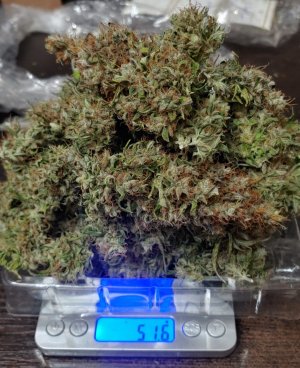 IMG_20230208_085939_658.jpg IMG_20230208_085939_658.jpg