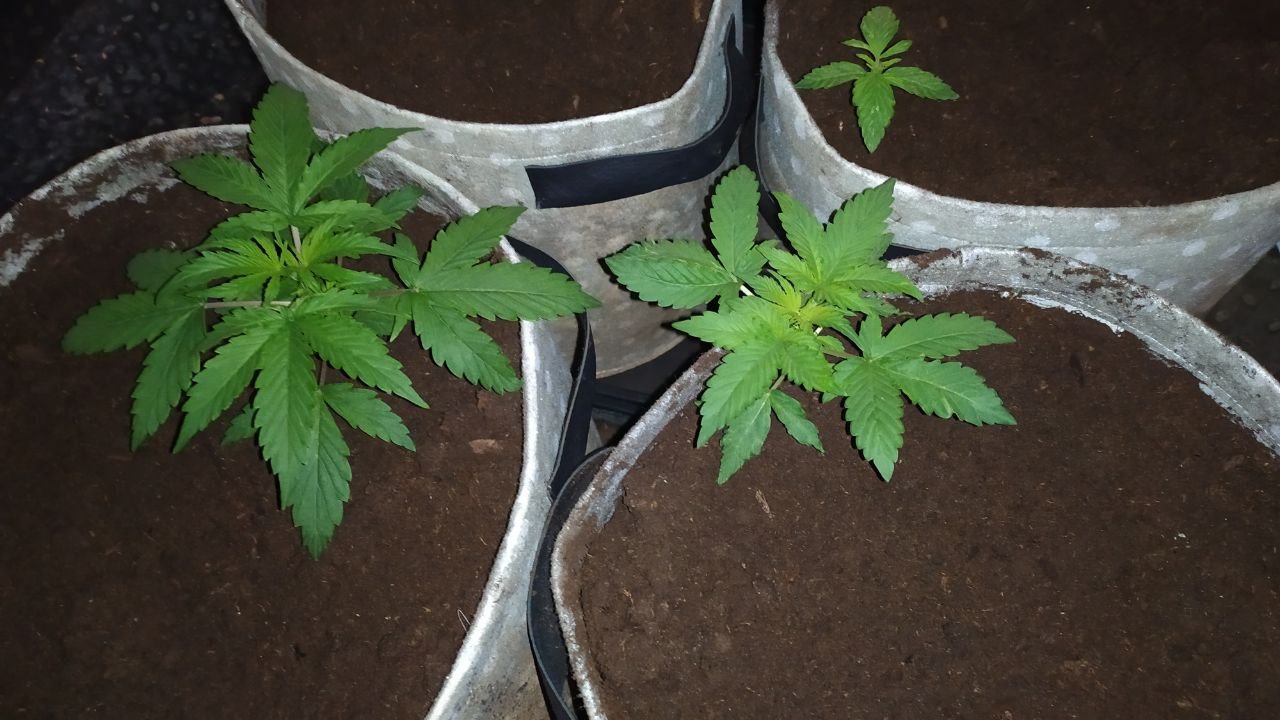 photo_2023-02-08_16-10-58 (2).jpg photo_2023-02-08_16-10-58 (2).jpg