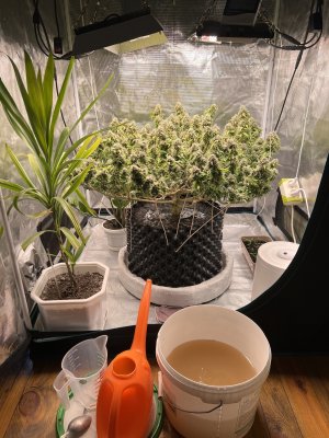 9818178E-33D2-4CD5-9331-A85C8AF115FD.jpeg 9818178E-33D2-4CD5-9331-A85C8AF115FD.jpeg