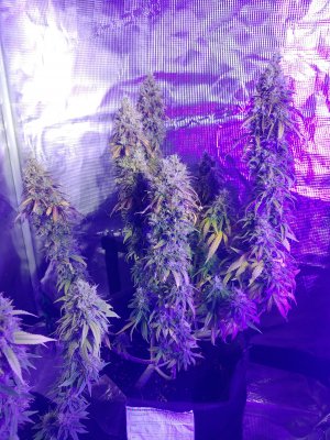 20230210_115422.jpg 20230210_115422.jpg