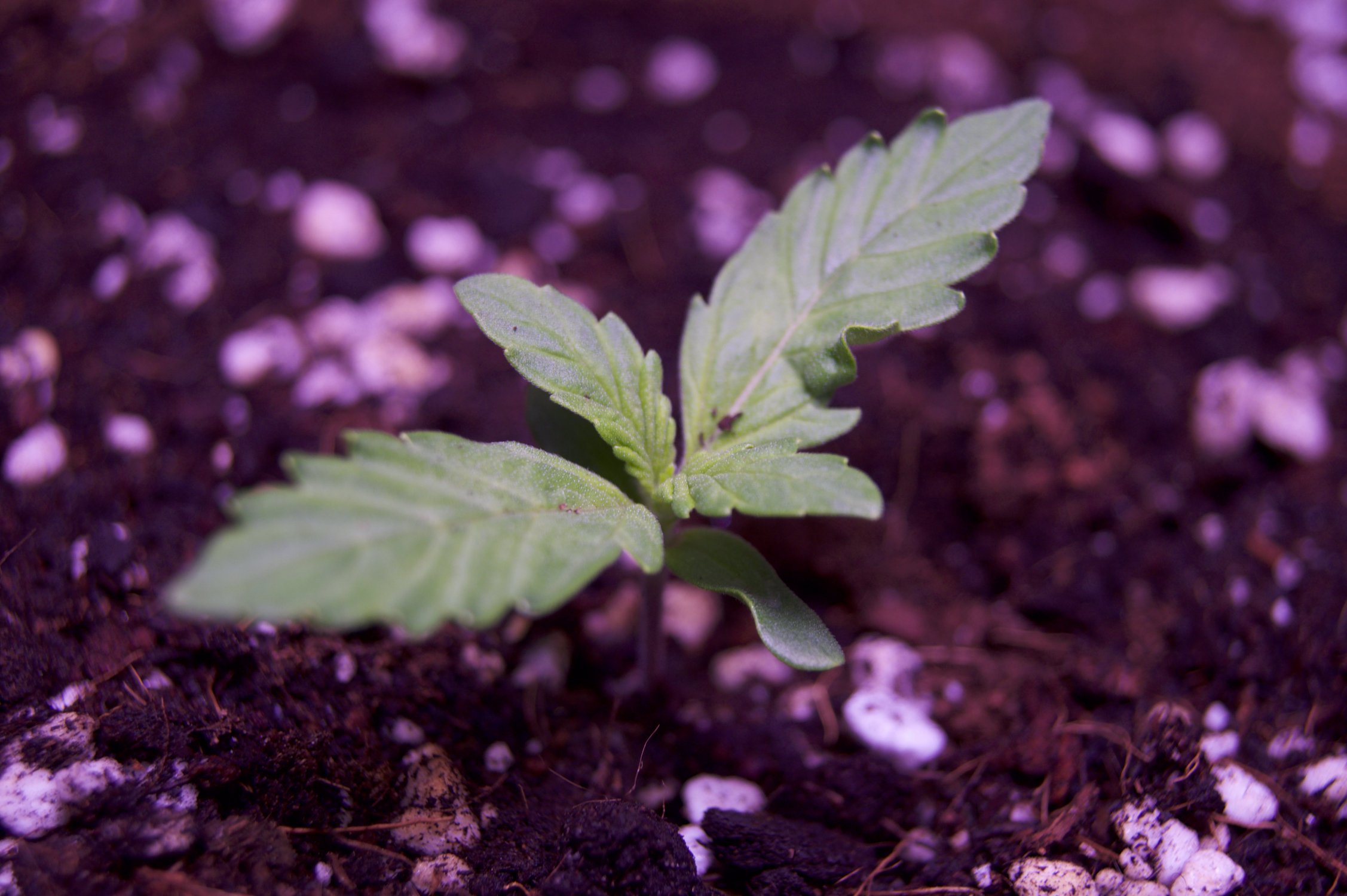 DSC04337.jpeg DSC04337.jpeg