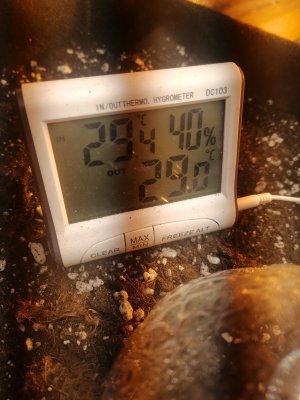 IMG_20230212_125327.jpg IMG_20230212_125327.jpg