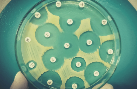 1676235300754.png 1676235300754.png