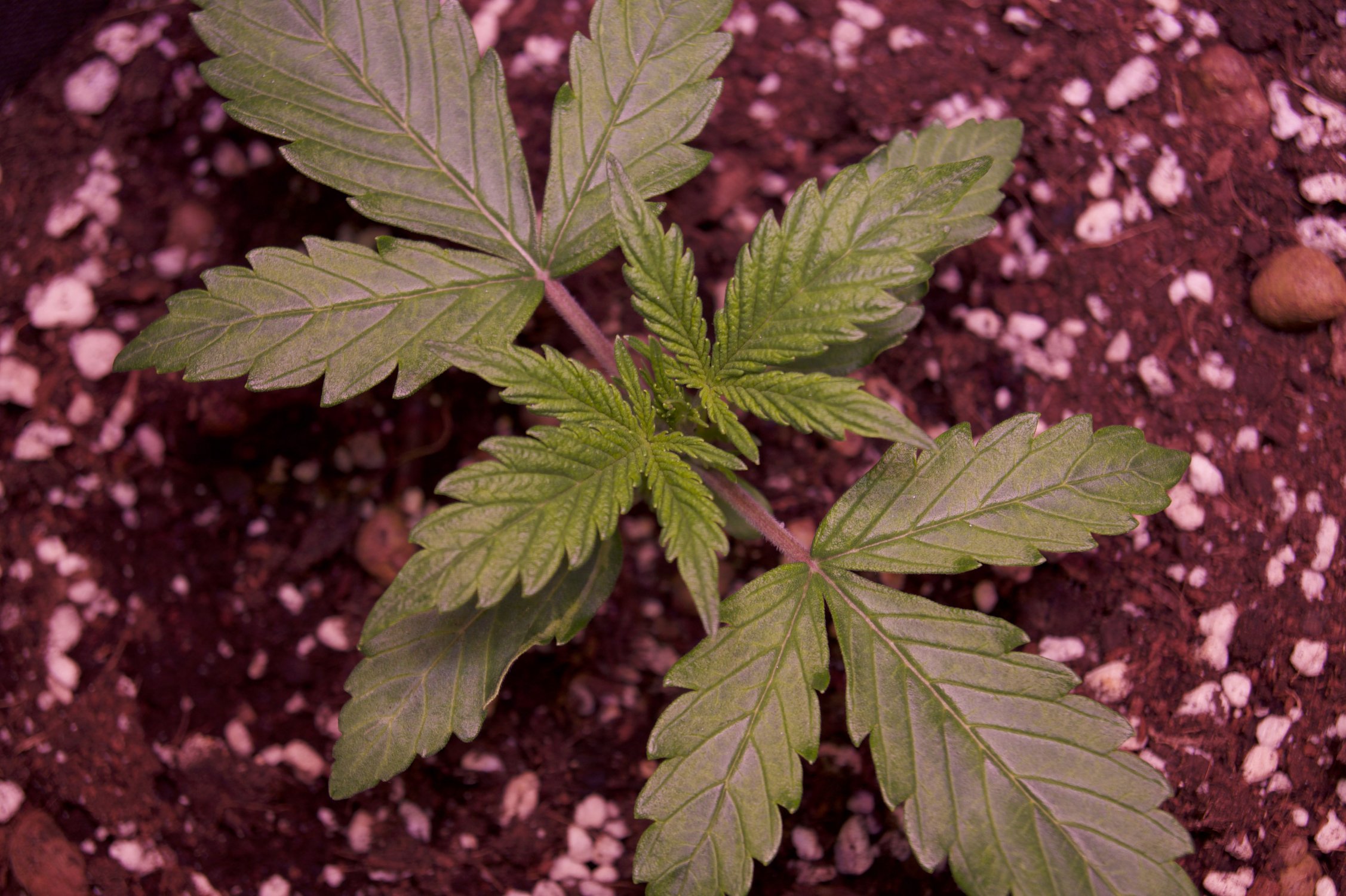 DSC04359.jpg DSC04359.jpg