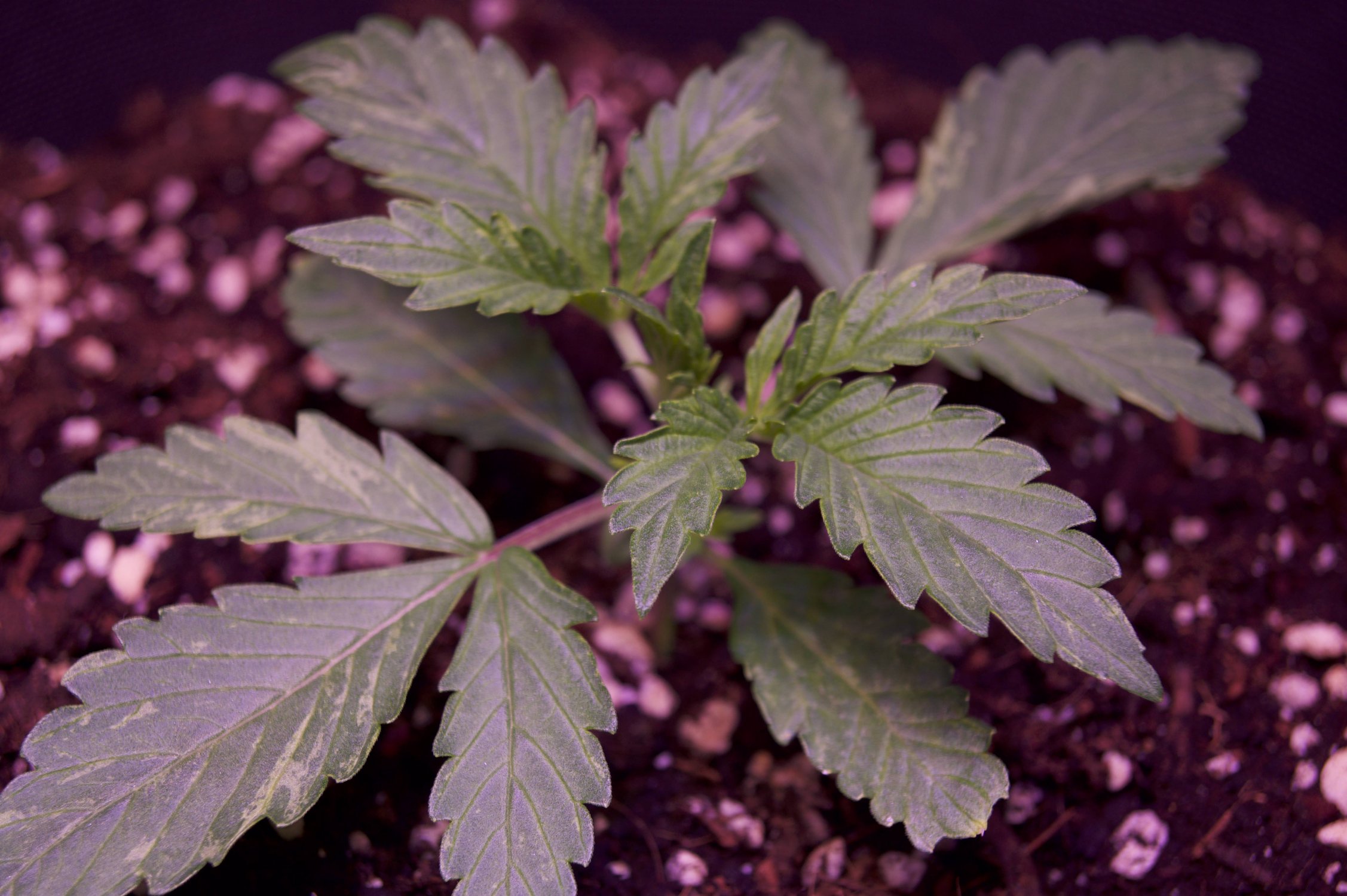 DSC04354.jpeg DSC04354.jpeg