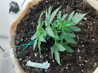 20230217_084857.jpg 20230217_084857.jpg