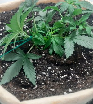 20230217_085000.jpg 20230217_085000.jpg