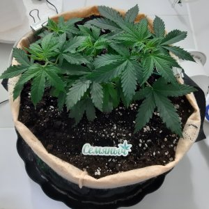 20230217_085028.jpg 20230217_085028.jpg