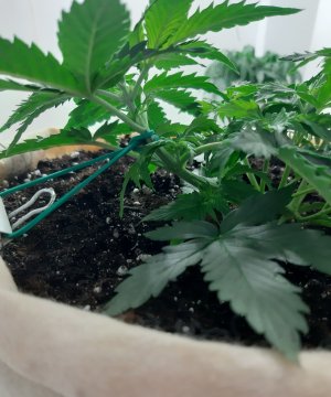 20230217_085110.jpg 20230217_085110.jpg