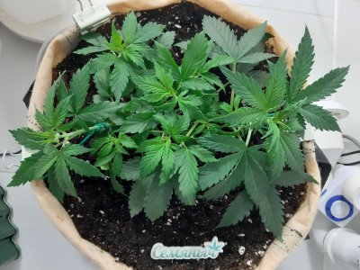 20230217_085138.jpg 20230217_085138.jpg