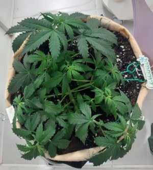 20230217_085204.jpg 20230217_085204.jpg