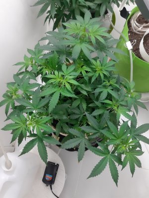 20230217_085337.jpg 20230217_085337.jpg