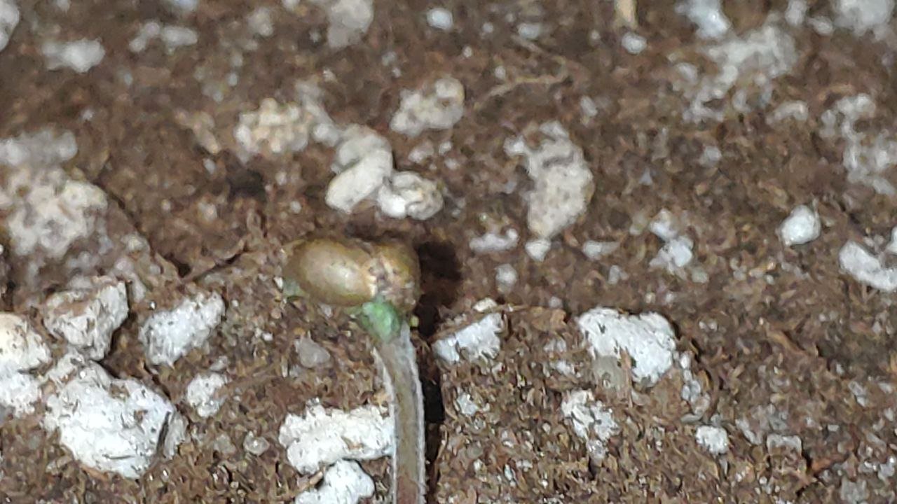 1 photo_2023-02-17_11-29-29.jpg 1 photo_2023-02-17_11-29-29.jpg