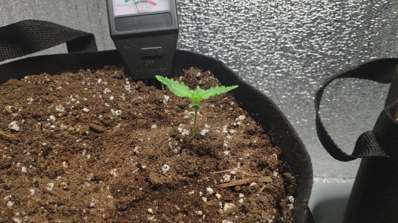 6 photo_2023-02-17_15-41-09.jpg 6 photo_2023-02-17_15-41-09.jpg