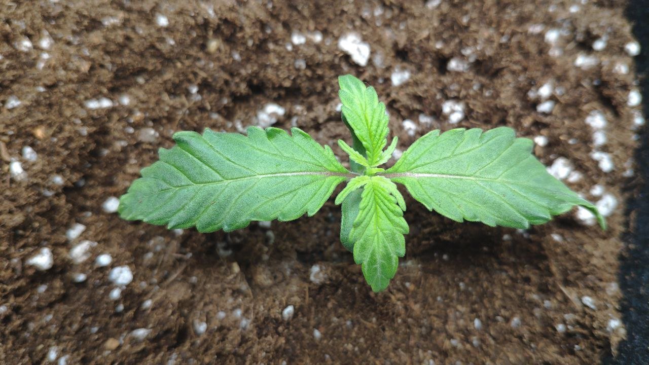 8 photo_2023-02-17_15-51-14.jpg 8 photo_2023-02-17_15-51-14.jpg