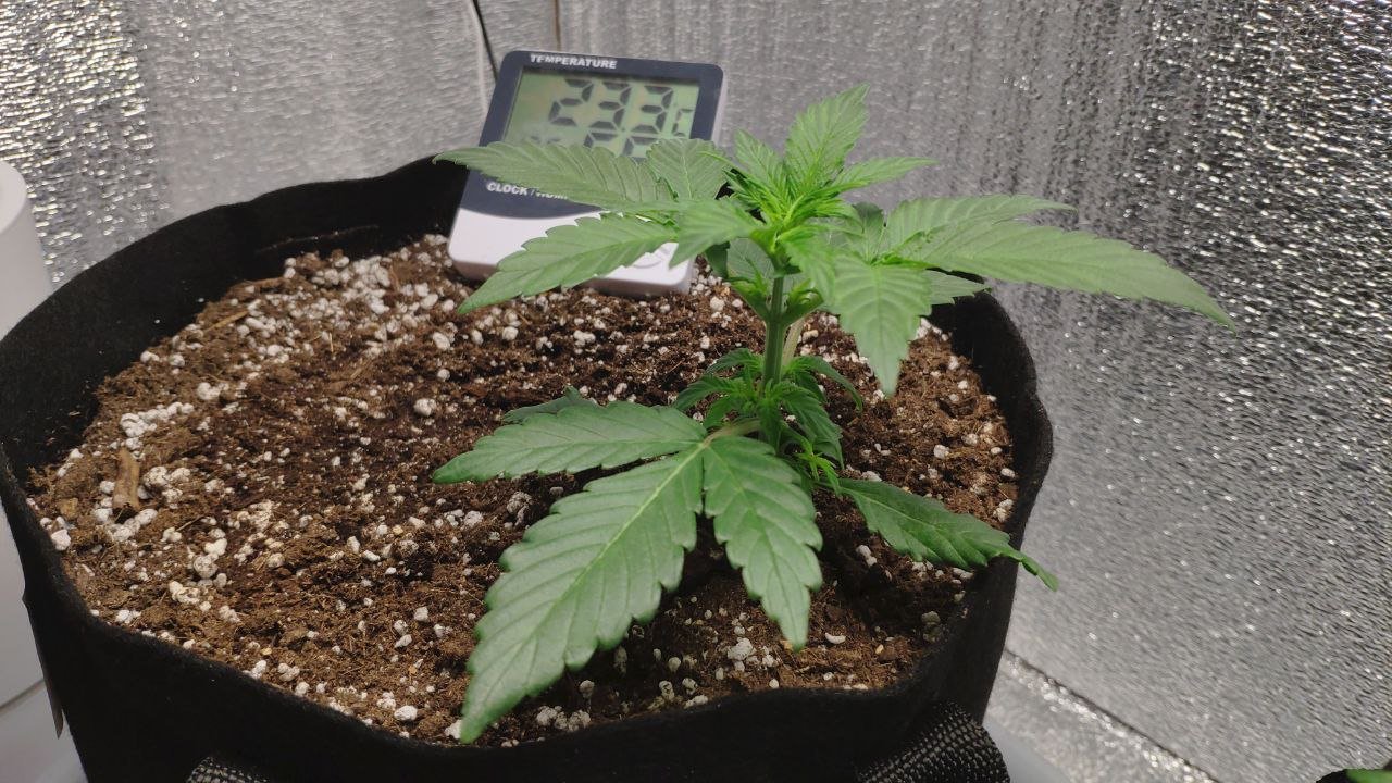 17 photo_2023-02-17_16-31-24.jpg 17 photo_2023-02-17_16-31-24.jpg