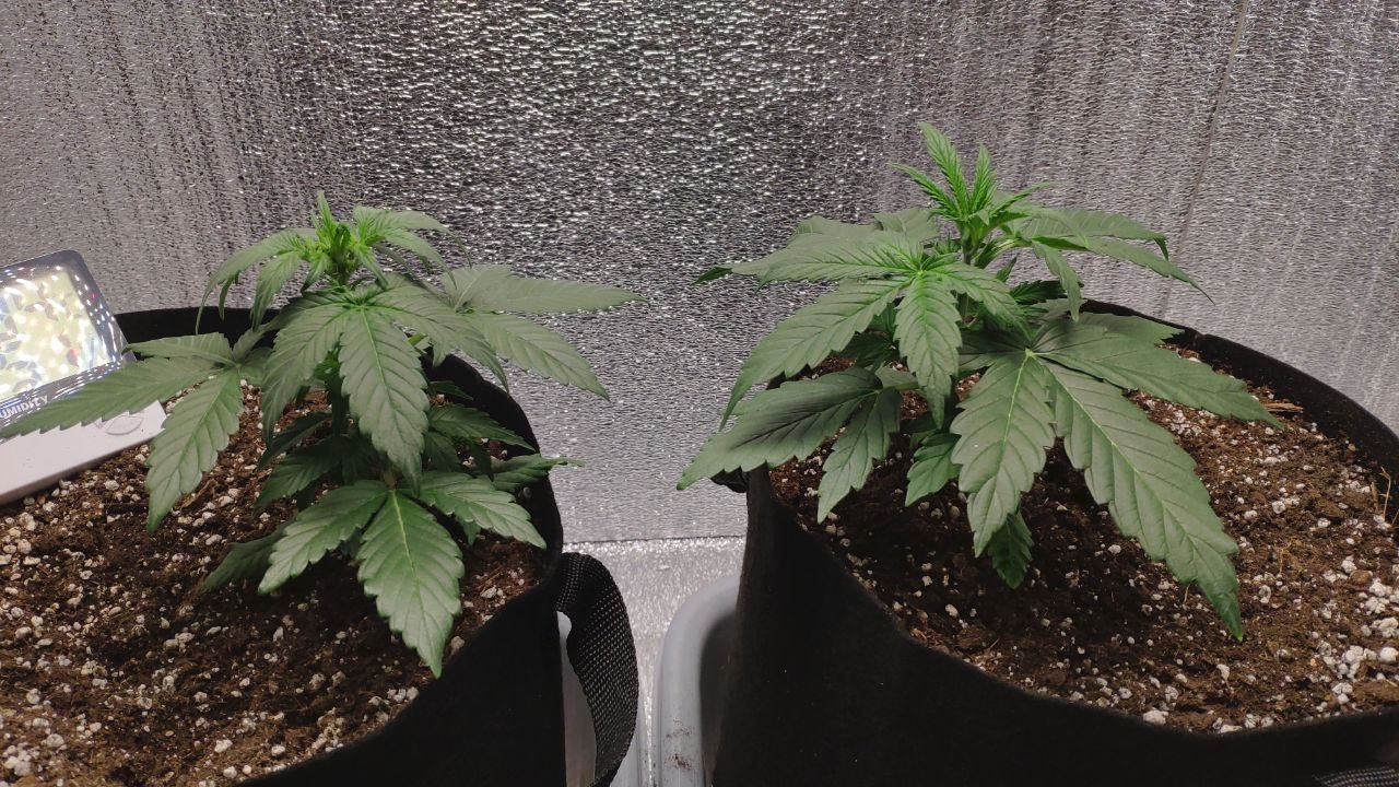 20 photo_2023-02-17_16-33-23.jpg 20 photo_2023-02-17_16-33-23.jpg