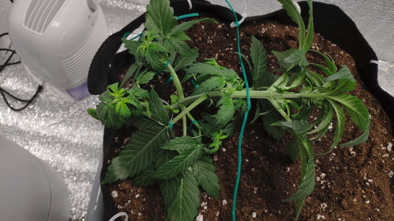 22 photo_2023-02-17_16-57-12.jpg 22 photo_2023-02-17_16-57-12.jpg