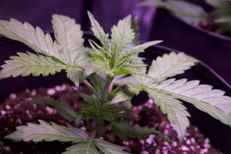 DSC04360.jpeg DSC04360.jpeg