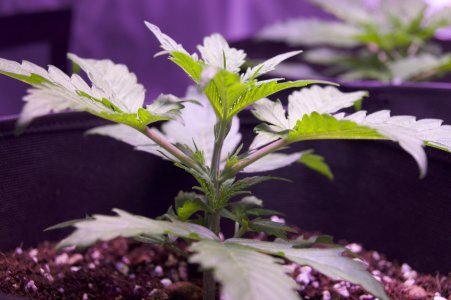 DSC04361.jpeg DSC04361.jpeg